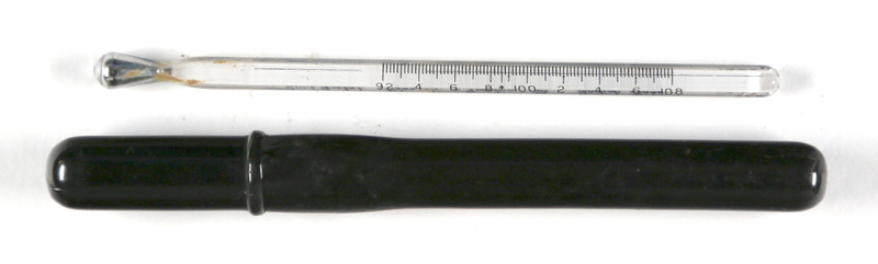 Thermometer and case