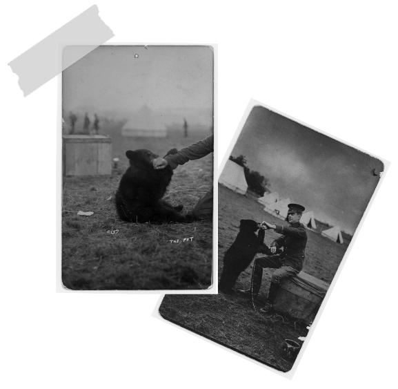 Two pictures, both of Winnie the bear as a cub.  The second also includes Harry Coulbourn.
